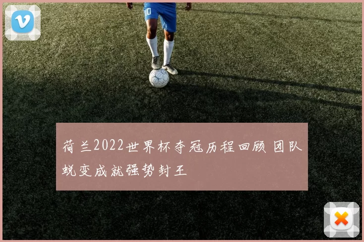 荷兰2022世界杯夺冠历程回顾 团队蜕变成就强势封王