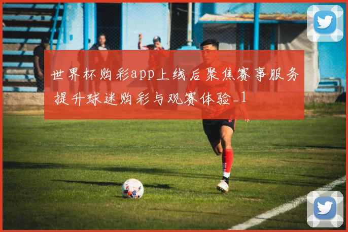 世界杯购彩app上线后聚焦赛事服务 提升球迷购彩与观赛体验_1