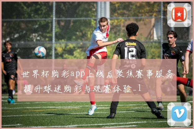 世界杯购彩app上线后聚焦赛事服务 提升球迷购彩与观赛体验_1