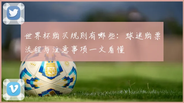 世界杯购买规则有哪些:球迷购票流程与注意事项一文看懂