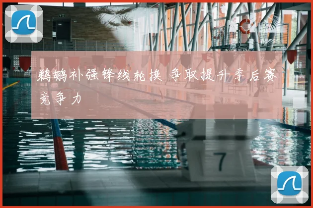 鹈鹕补强锋线轮换 争取提升季后赛竞争力
