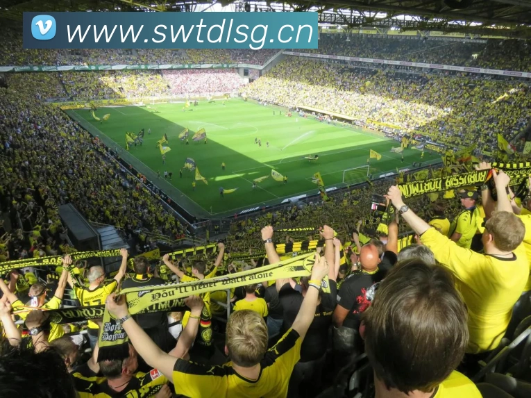 滚球买球的app官网APP 封面图